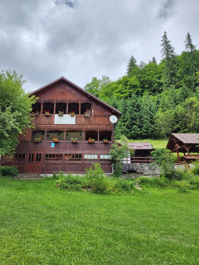 Pensiunea Susman Rachitele Exterior foto